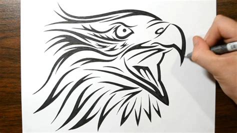 How to Draw a Tribal Eagle Tattoo Design - YouTube