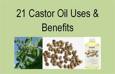 Castor Oil Uses and Benefits | Family Finds Fun