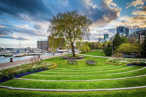 The Toronto Music Garden Photograph by Jon Bilous - Pixels