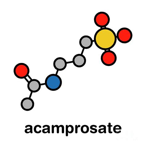 Acamprosate Alcoholism Drug Photograph by Molekuul/science Photo Library - Pixels