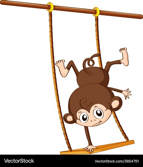 Monkey and swing Royalty Free Vector Image - VectorStock