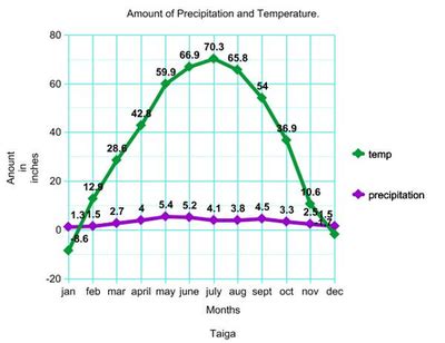 Temperature & Precipitation - boreal forest biome