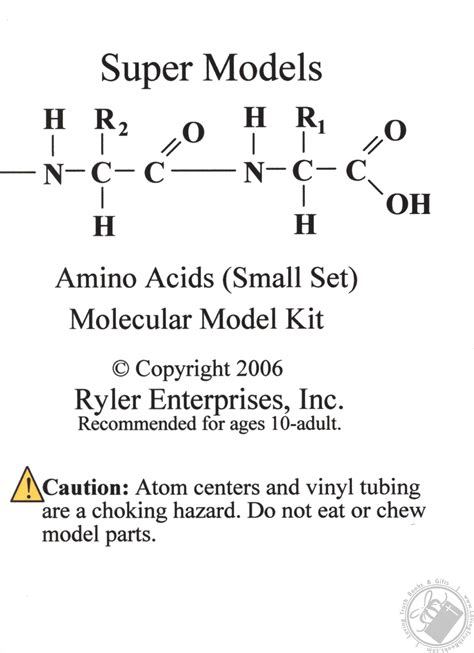 Amino Acids (Small Set) Molecular Model Kit(84 Pcs) by Ryler Enterprises (Model / Molecular ...