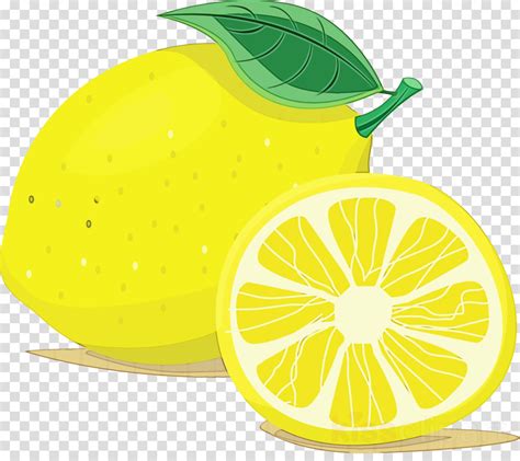 clipart citrus 10 free Cliparts | Download images on Clipground 2024