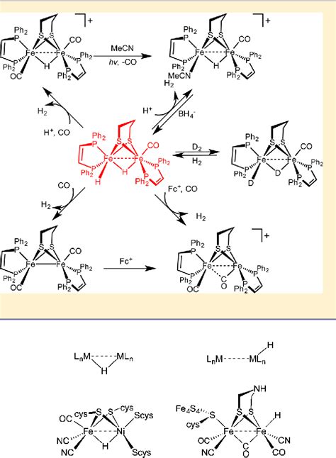 Figure 1 from New reactions of terminal hydrides on a diiron dithiolate. | Semantic Scholar