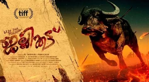 Mollywood movie 'Jallikattu' enters Oscar