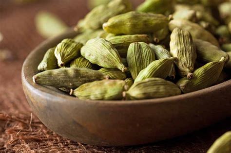 How to Grow Flavorful Cardamom in Your Home Garden | Gardener's Path