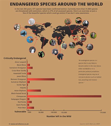 Endangered Species Around The World guest post | Kate on Conservation