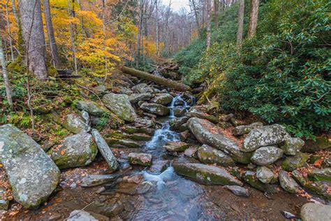 The Best Hiking in Tennessee - Campspot