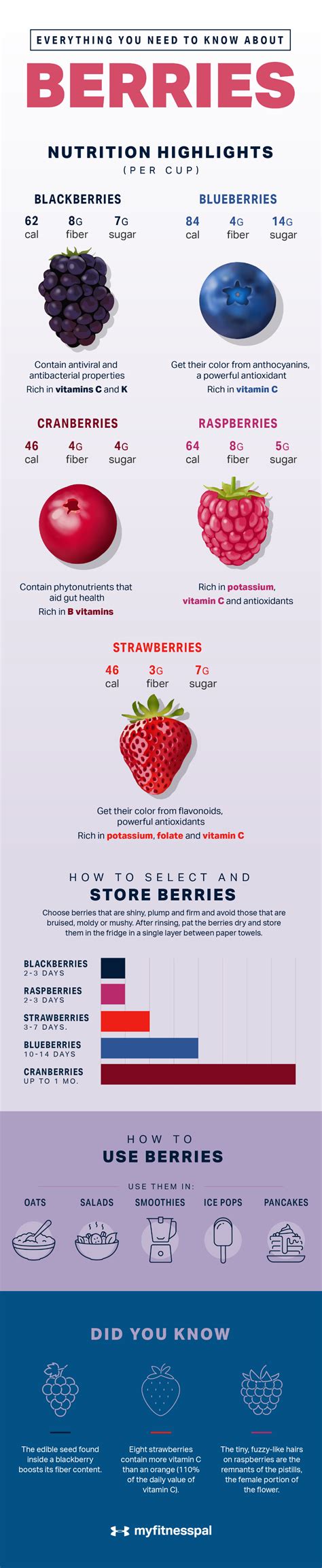 Everything You Need to Know About Berries | Nutrition, Myfitnesspal recipes, Nutrition blog