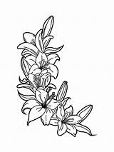 Lily coloring Pages sketch template