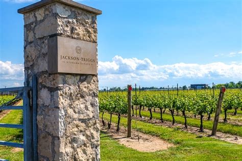 Great Niagara on the Lake Wineries You Should Visit