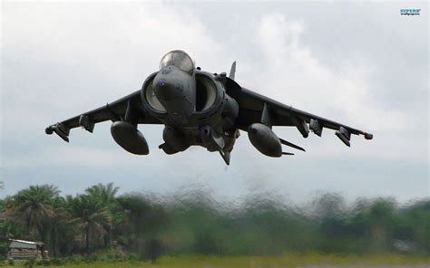 Harrier Wallpapers - Wallpaper Cave