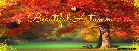 Beautiful Autumn | Facebook cover images, Autumn nature, Cover photos