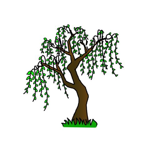 How to Draw a Willow Tree - Step by Step Easy Drawing Guides - Drawing ...