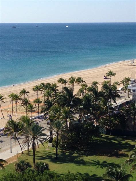 Courtyard by Marriott Fort Lauderdale Beach Photos - GayCities Fort ...