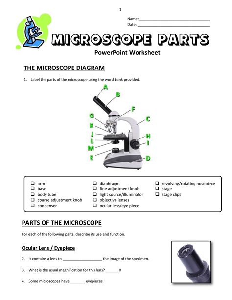 Microscope Parts Diagram Worksheet Microscope Parts Labeled