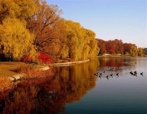 10 Breathtaking Places To See Fall Colours Near Toronto - Ultimate Ontario