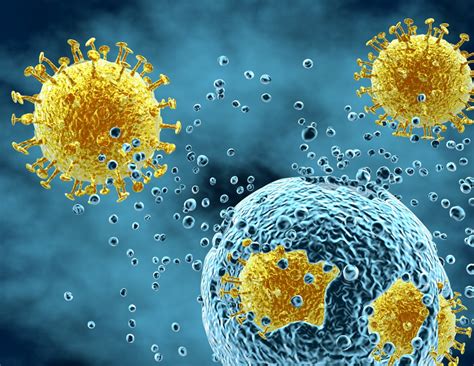 Viruses can ‘hijack’ cellular process to block immune response - McGill ...