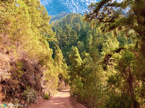 About Tenerife- Canary-Hiking - Wandelen op de Canarische eilanden