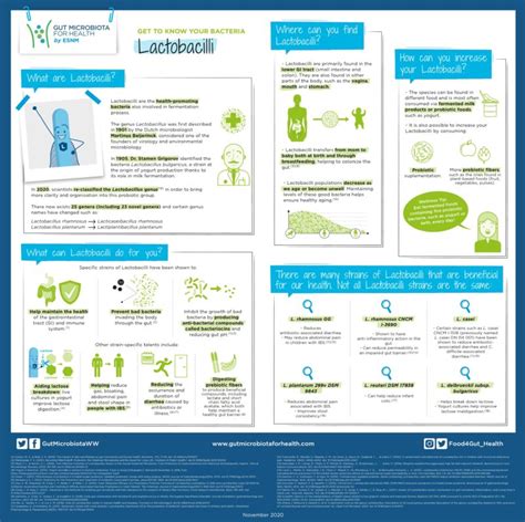 Get to know the Lactobacilli family - Gut Microbiota for Health