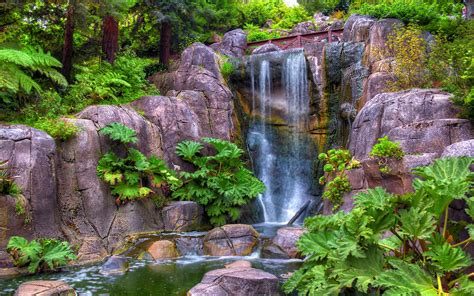 Golden Gate Park Strawberry Hill Waterfall San Francisco California Usa Computer Wallpaper Hd ...