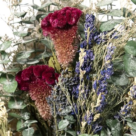 Dried Celosia Bouquet | West Elm