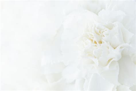 Details 200 white wedding background - Abzlocal.mx