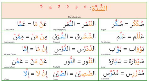 Shadda In Arabic And Quran Words With Examples | Tipyaan Academy