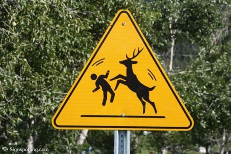 deer crossing sign meme - Google Search | Crossing sign, Funny road ...