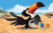 Toucan Family | Rio Wiki | FANDOM powered by Wikia