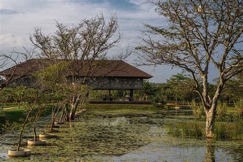 Water Garden Sigiriya Location – Hummingbird Travel