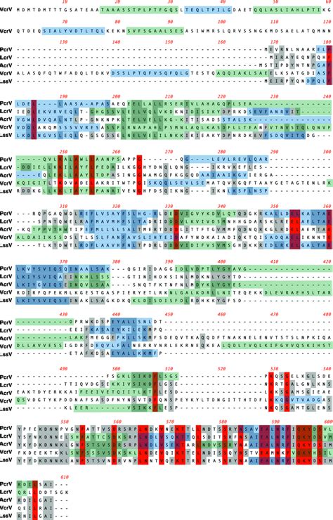 ClustalW sequence alignment of the five primary V-antigen sequences.... | Download Scientific ...