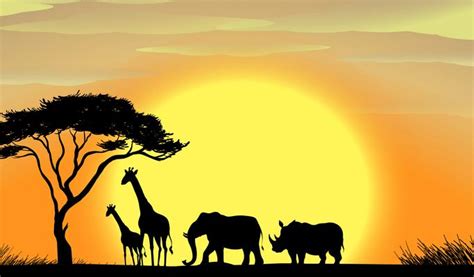 Africa Safari Vector Art, Icons, and Graphics for Free Download