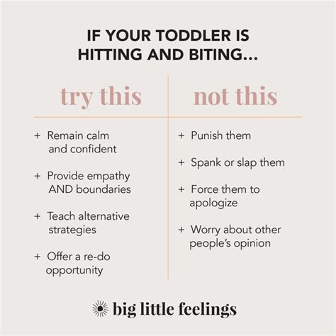 How to Stop Your Toddler from Hitting – Big Little Feelings – Happy Parents, Happy Toddlers