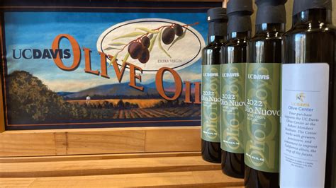 UC Davis Olive Center to Release ‘Olio Nuovo’ Olive Oil | College of Agricultural and ...