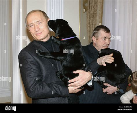 Russian President Vladimir Putin presenting puppies born to his dog ...