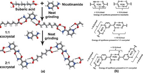 Stepwise synthesis of the 2 : 1 cocrystal of nicotinamide and suberic ...