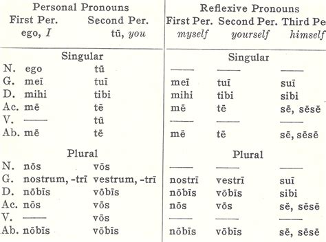 Personal Pronouns — Latin for Rabbits