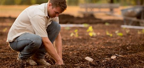 Can You Plant Grass Seed in the Winter? The Truth - Swell Seed Co.