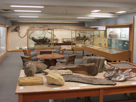 Paleontology Museum (Edmonton) - 2019 All You Need to Know BEFORE You Go (with Photos) - TripAdvisor