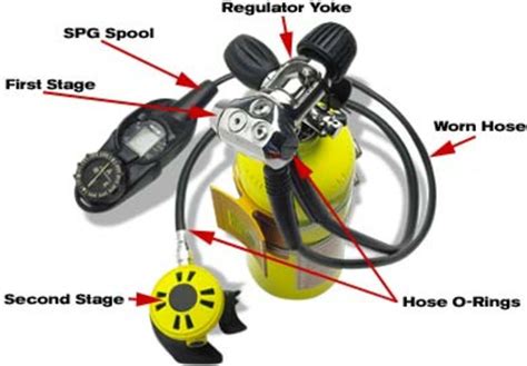 9 Reasons Why Scuba Regulators Leak (And How to Fix 'Em) | Scuba diving, Scuba diving gear ...