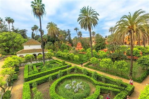 Jardines del Alcázar de Sevilla, información general, tamaño y especies vegetales