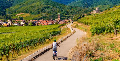 La Route des Vins d'Alsace à vélo en 5 jours/4 nuits - Alsace - Jusqu'à -70% | Voyage Privé