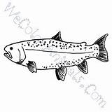 Brown Trout Realistic Pages Coloring sketch template