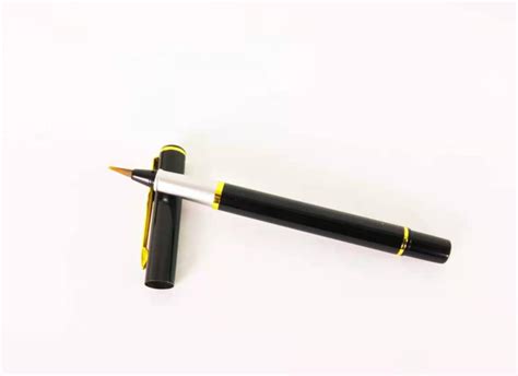 Chinese Calligraphy Ink Brush Pen / the Ultimate Asian - Etsy