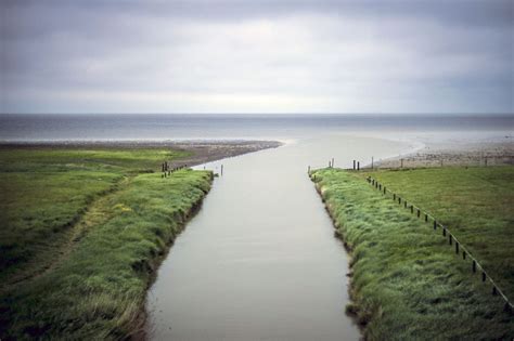 Dutch Wadden Sea | World heritage sites, Unesco world heritage site ...