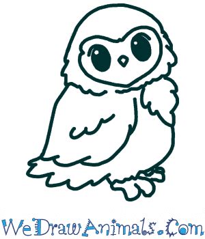 How to Draw a Cute Owl