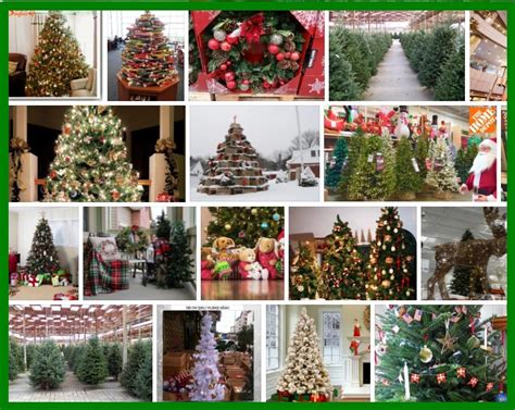 Costco Christmas Trees, Big Discount !!! For Sale 2021 | Tree Types