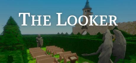 The Looker System Requirements | System Requirements